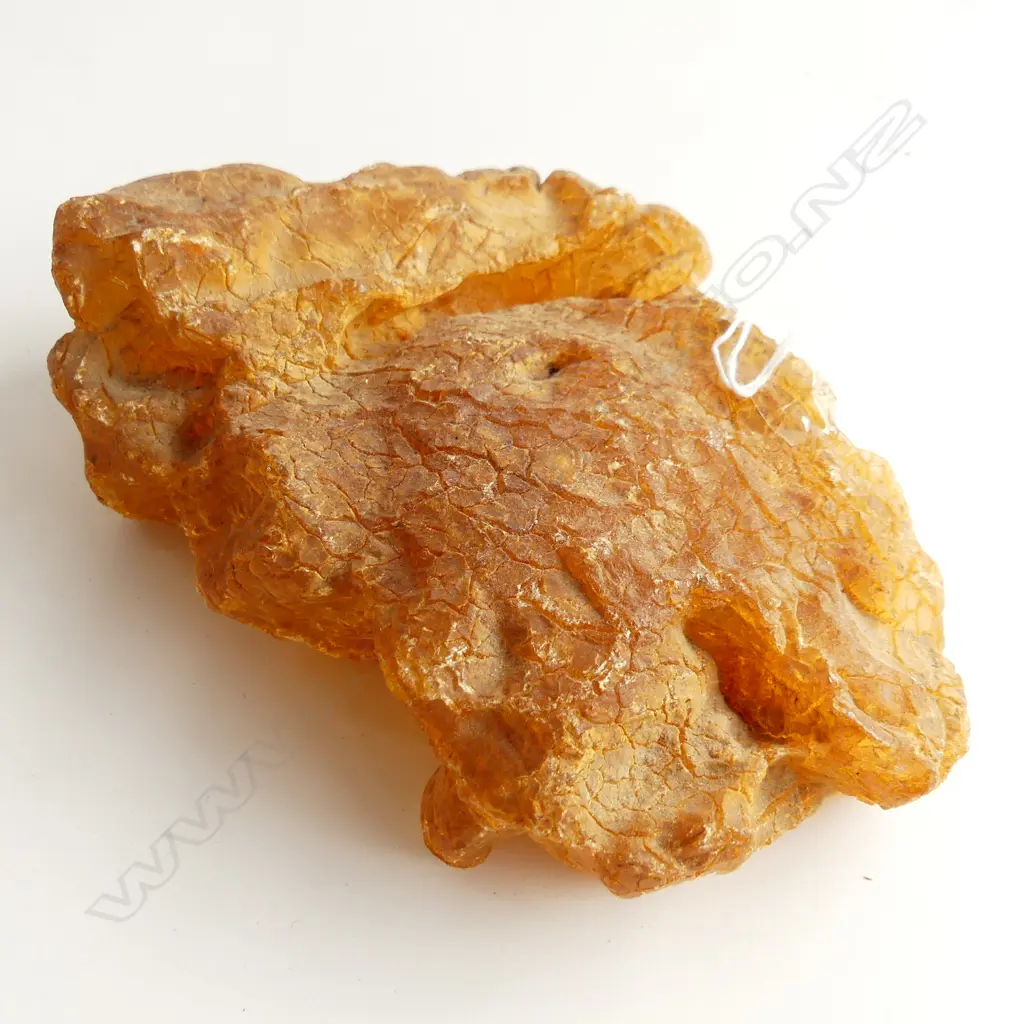 A kauri gum nugget, Image 1++